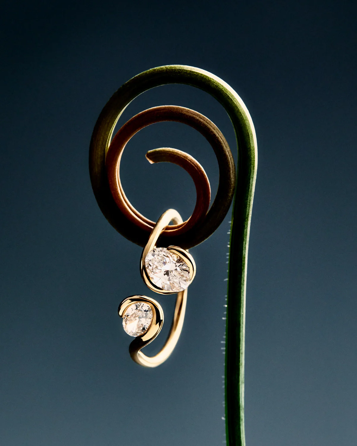 PDPAOLA by Valeria Vasi